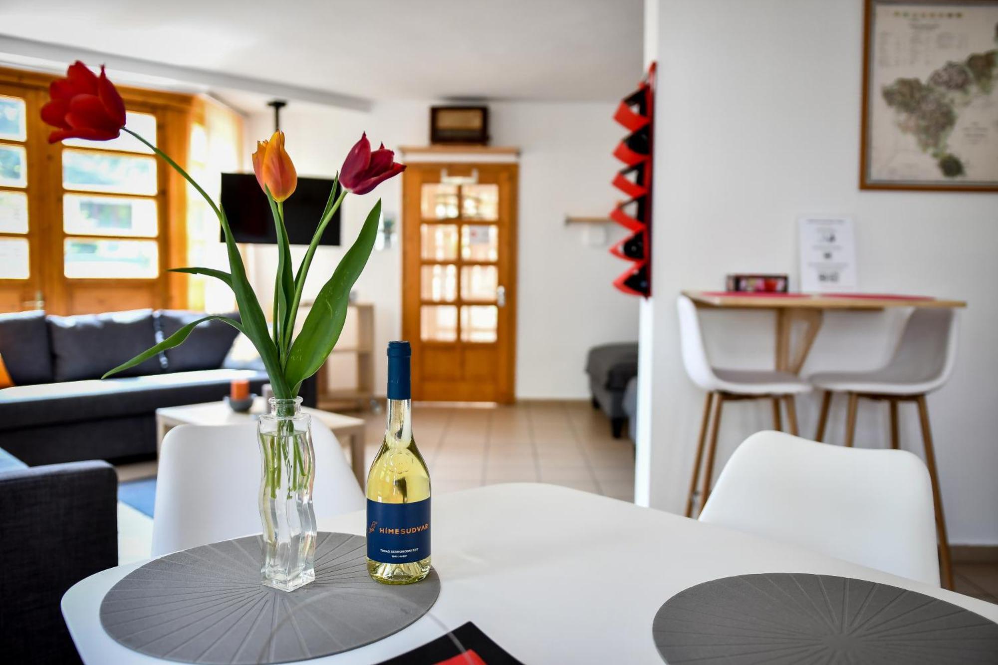 Boralom Studio Apartman Tokaj Ngoại thất bức ảnh